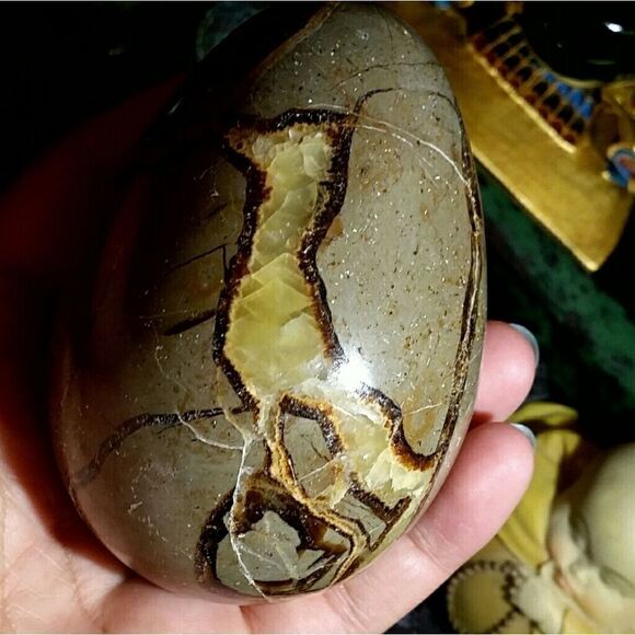 473.4g Septarian Egg #2  - Picture 4 of 8